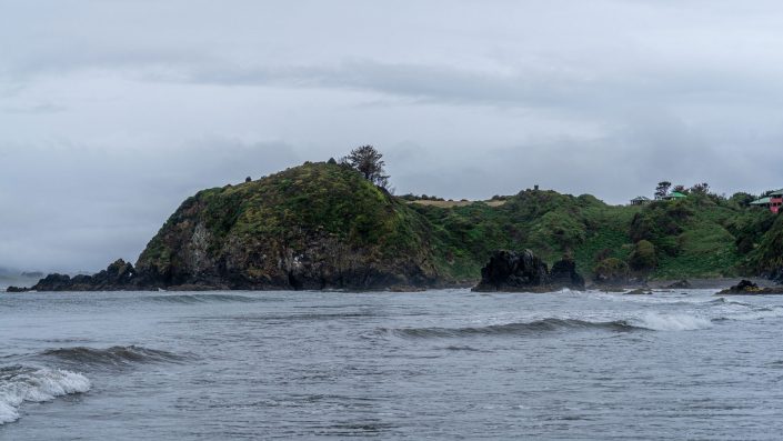 DSC07464